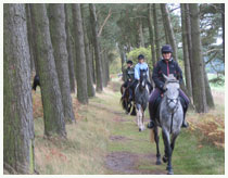 St.Cuthberts Cave Ride Northumberland. Off road hacks. Horse riding in the stunning countryside with views of the cheviots and holy island and Bamburgh.