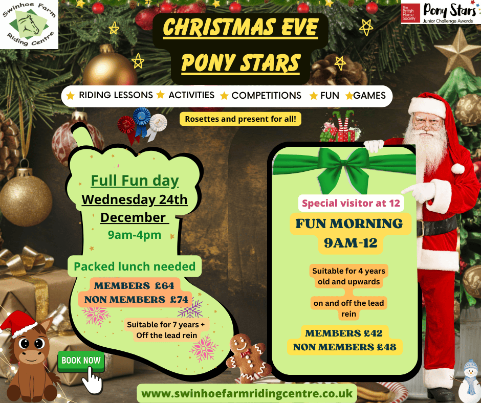 Christmas Eve Fun Day