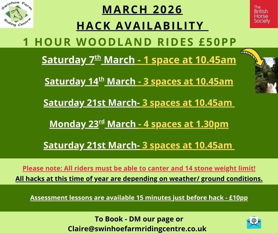 Hacks in countryside Northumberland